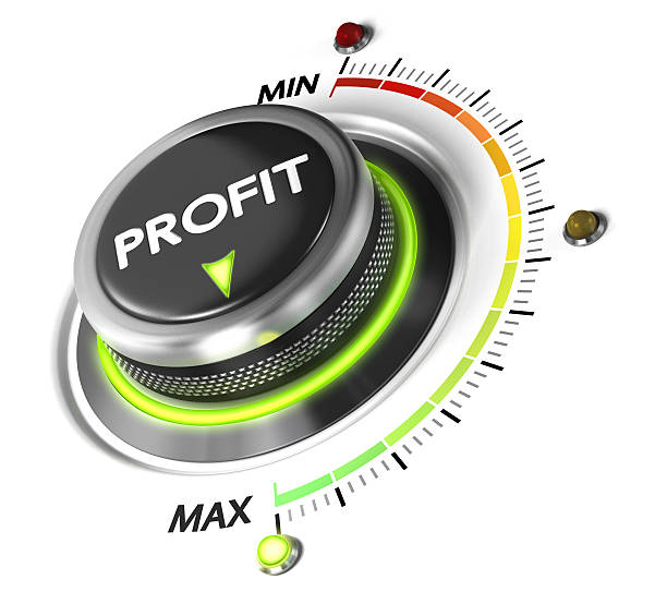 Maximizing Profitability: A Case Study in Operational Excellence