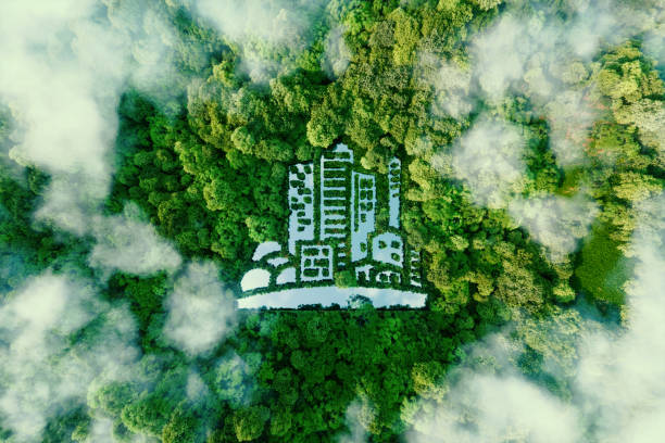 Sustainability in Hospitality: Why Going Green is Good for Your Property